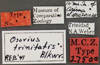 Media type: image;   Entomology 27500 Aspect: labels